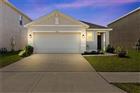 6250 WANDERING WILLOW DR, WESLEY CHAPEL, FL - MLS# TB8525010