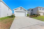 10918 TRAILING VINE DR, TAMPA, FL - MLS# TB8525031
