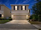 TB8525577 - 10231 GEESE TRAIL CIR, SUN CITY CENTER, FL 33573