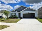 32650 OSPREY PEAK WAY, SAN ANTONIO, FL - MLS# TB8525972