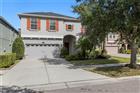TB8525978 - 19303 WATER MAPLE DR, TAMPA, FL 33647