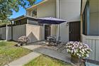 8003 JASMINE DR #8003, TAMPA, FL - MLS# TB8526643
