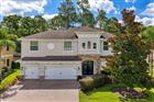 12918 RED CARDINAL DR, ODESSA, FL - MLS# TB8527067
