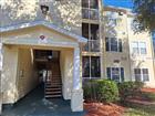 18387 BRIDLE CLUB DR #18387, TAMPA, FL - MLS# TB8527220