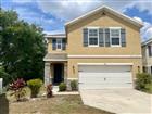833 WILTONWAY DR, PLANT CITY, FL - MLS# TB8527321