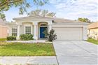 13102 EARLY RUN LN, RIVERVIEW, FL - MLS# TB8528502