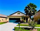 21036 WISTFUL YEARN DR, LAND O LAKES, FL - MLS# TB8528661