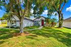 4102 AMBER RIDGE LN, VALRICO, FL - MLS# TB8528707