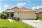 13504 PADRON CT, RIVERVIEW, FL - MLS# TB8529173