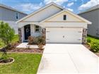 3520 MAPLE GROVE WAY, PLANT CITY, FL - MLS# TB8529360