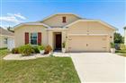 11910 LITTLE VIOLET CIR, RIVERVIEW, FL - MLS# TB8529742