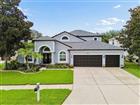 21500 CORMORANT COVE DR, LAND O LAKES, FL - MLS# TB8529831