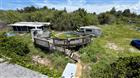 5110 HONEY LN, GRANT, FL - MLS# TB8530481