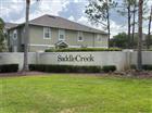 27802 PLEASURE RIDE LOOP, WESLEY CHAPEL, FL - MLS# TB8530639