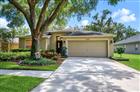 TB8530807 - 6209 GANNETDALE DR, LITHIA, FL 33547