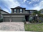 TB8531334 - 4917 EAGLE ROCK DR, WIMAUMA, FL 33598