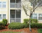 TB8531875 - 18425 BRIDLE CLUB DR, TAMPA, FL 33647