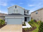 6271 SPRINGMONT LOOP, PALMETTO, FL - MLS# TB8531991