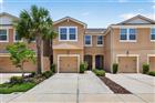 TB8532009 - 6231 SCARLET DARTER WAY, TAMPA, FL 33625