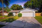 TB8532090 - 15906 CRYING WIND DR, TAMPA, FL 33624