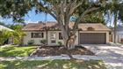 1310 MANDARIN DR, HOLIDAY, FL - MLS# TB8532098