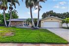 6390 BURNING TREE DR, SEMINOLE, FL - MLS# TB8532175
