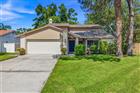 15710 PINTO PL, TAMPA, FL - MLS# TB8532545
