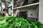 TB8532803 - 2575 PINE RIDGE WAY S #E1, PALM HARBOR, FL 34684