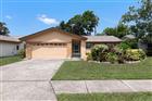 1150 BROOK DR W, DUNEDIN, FL - MLS# TB8534024