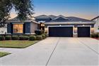 11105 WEMBLEY LANDING DR, LITHIA, FL - MLS# TB8534288