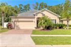 V4946946 - 3968 SUNSET COVE DR, PORT ORANGE, FL 32129