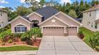 V4948072 - 3247 DIAMOND FALLS CIR, LAND O LAKES, FL 34638