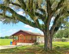 1673 BLACKWELDER RD, DE LEON SPRINGS, FL - MLS# V4949055