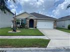 531 EMILY GLEN ST, DELAND, FL - MLS# V4949274