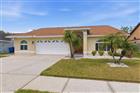 11421 GLENMONT DR, TAMPA, FL - MLS# W7884554