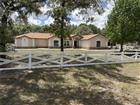 5085 BONE LN, BROOKSVILLE, FL - MLS# W7885339