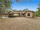 7111 RICKER AVE, WEBSTER, FL - MLS# W7885452