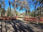 W7885578 - 12220 TIMBER LN, BROOKSVILLE, FL 34601