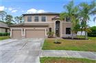 W7885657 - 14807 PRINCEWOOD LN, LAND O LAKES, FL 34638