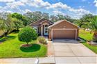 13253 GOLF RIDGE PL, HUDSON, FL - MLS# W7885839
