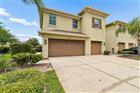 9421 TRUMPET VINE LOOP, TRINITY, FL - MLS# W7886237