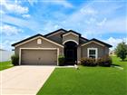 11991 CALLICARPA LN, LEESBURG, FL - MLS# W7886343