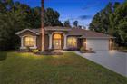 4710 BASSWOOD ST, LAND O LAKES, FL - MLS# W7887610