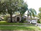 17316 Hialeah Dr, Odessa, FL - MLS# F10517703